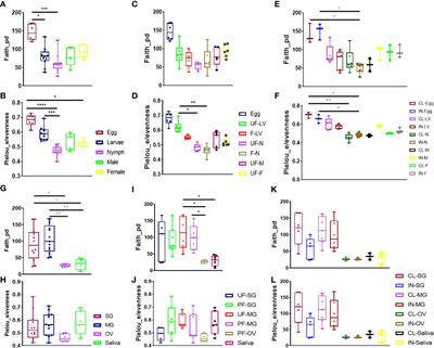 Hematophagy and tick-borne Rickettsial pathogen shape the microbial community structure and predicted functions within the tick vector, Amblyomma maculatum